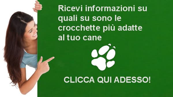 link al modulo di contatto