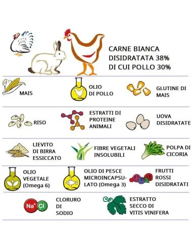 Infografica ingredienti croccantini per gatti Dogbauer Cat Chicken