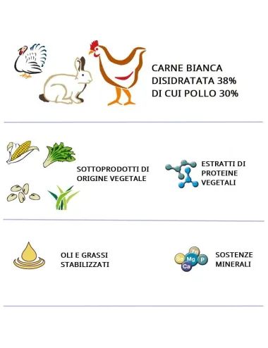 Infografica ingredienti croccantini per gatti 20 Kg Dogbauer Cat Micho