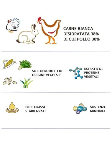 Sacco croccantini per gatti 20 Kg Dogbauer Cat Micho