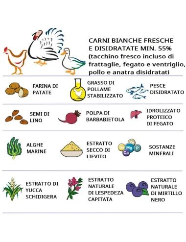 Sacco crocchette senza cereali per svezzamento gattini Dogbauer