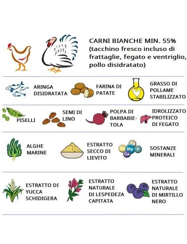 Sacco crocchette per gatti sterilizzati senza cereali Dogbauer 