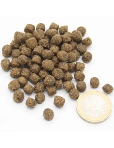 Crocchetta Mini Puppy Dogbauer vs/ moneta da 1 euro