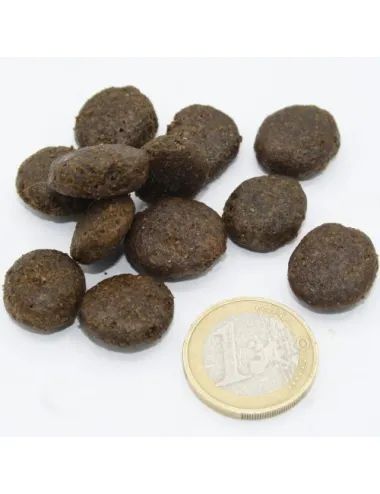 crocchetta per cani senza cereali Dogbauer Aringa Vs/ moneta da 1 euro