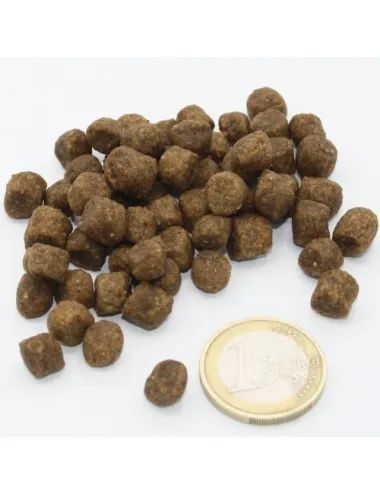 Crocchetta per cani Low Grain Puppy misura vs. moneta da 1 euro spessore