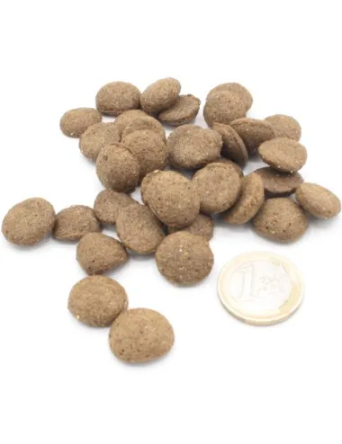 Crocchette mangime ipoallergenico per cani all'agnello  Dogbauer vs moneta da un euro