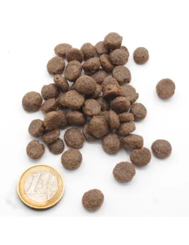 crocchetta Cuccioli e Accrescimento Aringa Low Grain Dogbauer vs/moneta da un euro!