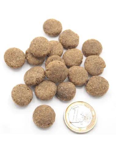 crocchette per cani obesi Magro e Snello Dogbauer, confrontate con moneta da 1 euro!