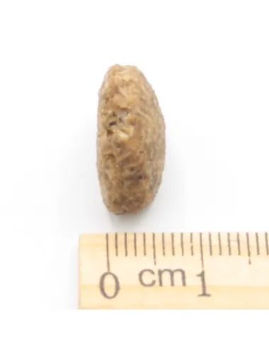 Sacco Crocchette per Cani Low Grain Aringa - Mai Più Feci Molli