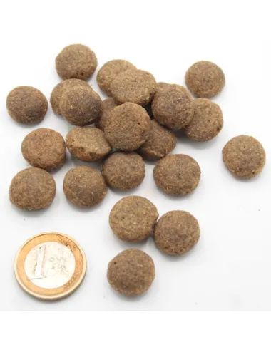 Crocchetta Low Grain all'Agnello e Pesce Dogbauer - grandezza in confronto a moneta da un euro