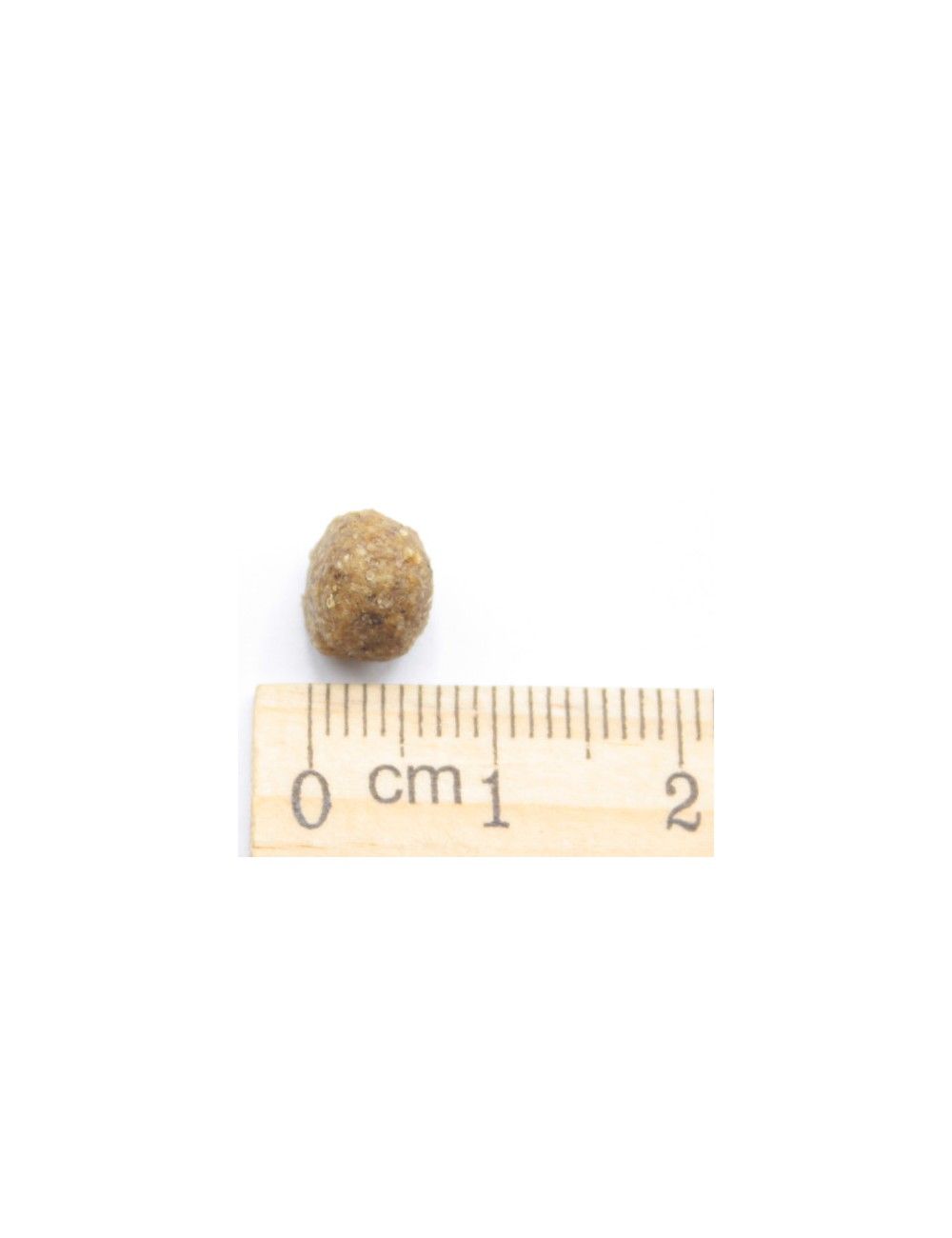 MINI Adult - Agnello, Riso e Patate