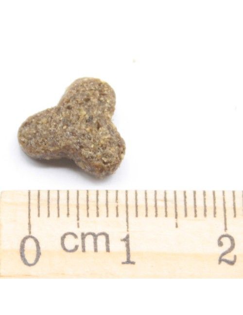 Dermat (crocchetta piccola)