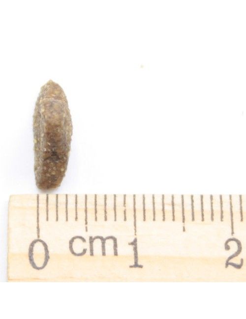 Dermat (crocchetta piccola)