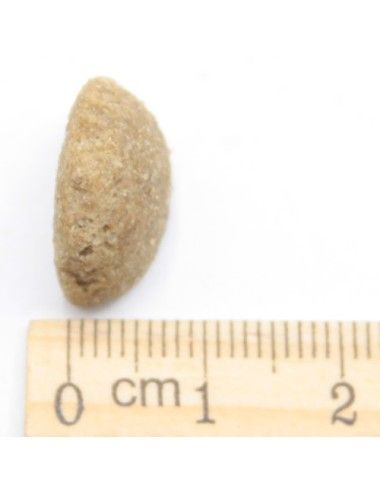 Sacco Crocchette ipoallergeniche SOLO PESCE  Low Grain  Dogbauer