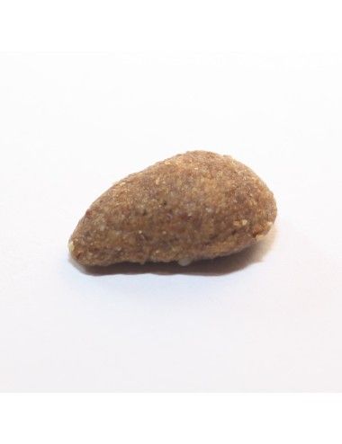 Croccantini Monoproteici per Gatti al Cervo 2 Kg