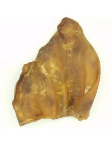 Orecchia di maiale essiccata da masticare per cani | Dogbauer