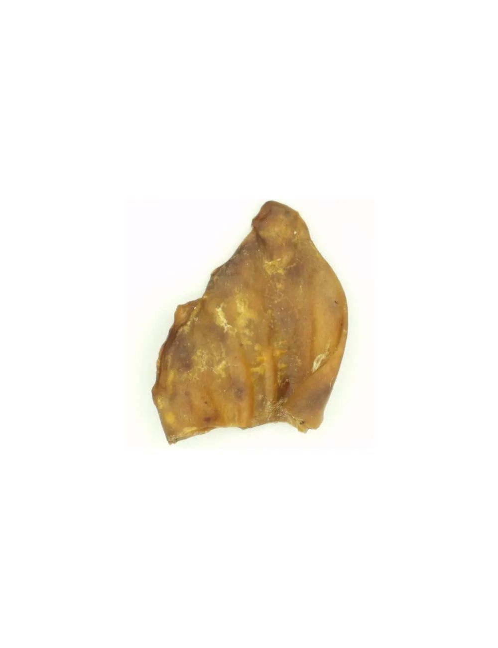 Orecchia di maiale essiccata da masticare per cani | Dogbauer Orecchia di maiale essiccata da masticare per cani | Dogbauer