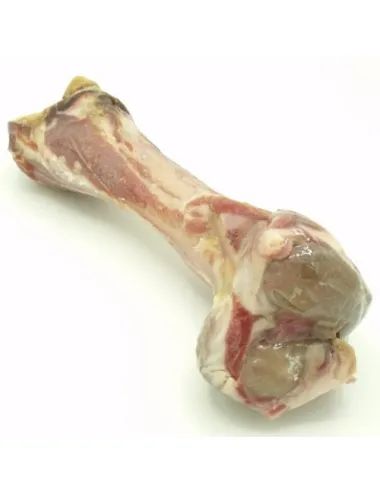 Osso di Prosciutto Crudo Da Masticare Per Cani Dogbauer