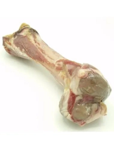 Osso di Prosciutto Crudo Da Masticare Per Cani Dogbauer