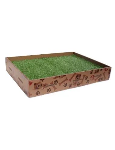 Cuccia per cane da interno ecologica in cartone 3 misure Dogbauer