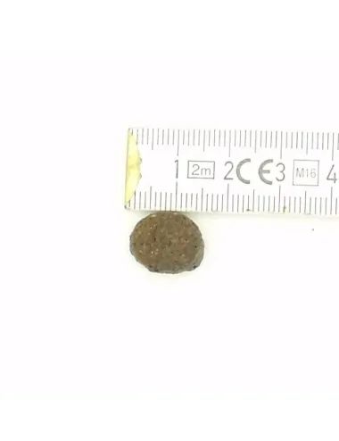 Sacco crocchette per cani Grain Free Pesce e Bufalo Dogbauer