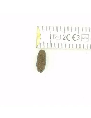 Crocchetta Grain Free al Pesce e Bufalo Dogbauer Vs scala millimetrata (spessore)
