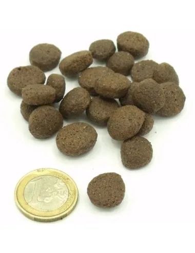 Crocchette Grain Free Salmone e Pollo Dogbauer Vs Moneta da un euro