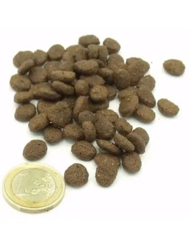 crocchette per gatti al pesce senza cereali Dogbauer vs moneta da un euro