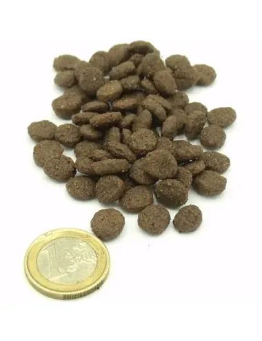 crocchette per gatti sterilizzati senza cereali Dogbauer Vs moneta da un euro