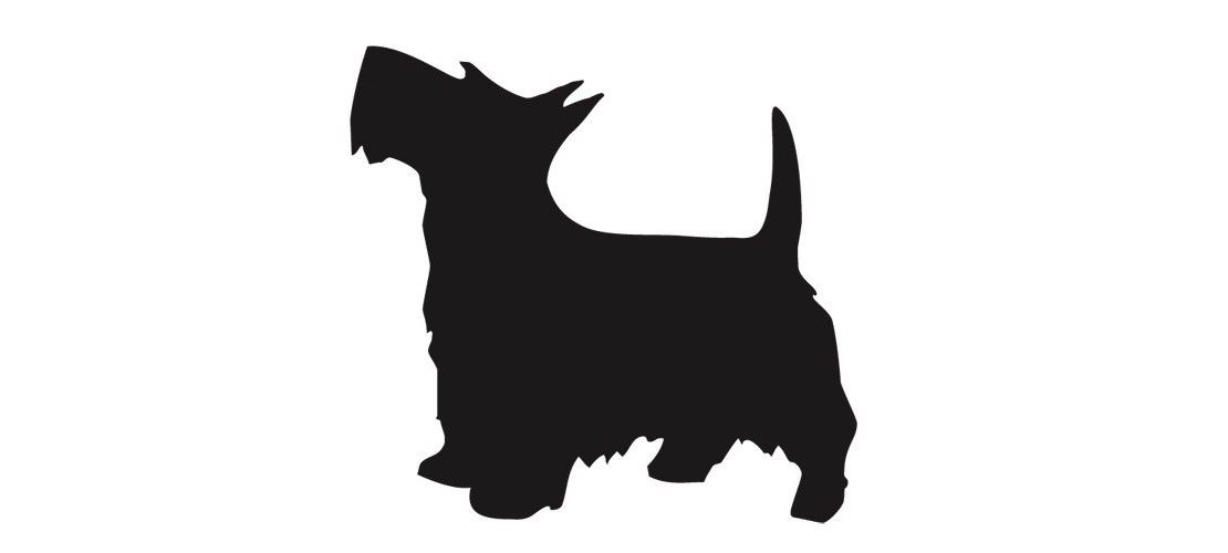 Crocchette Per Cani di Piccola Taglia Prima Qualità