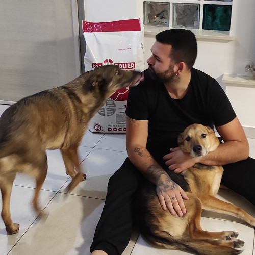 due cani salvati dal canile