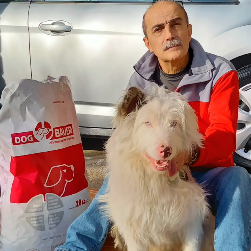 Il Cane Pepe Sordo dalla Nascita