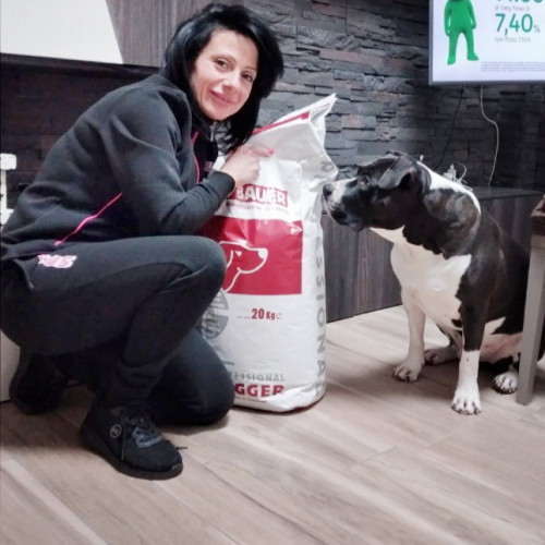 Amstaff