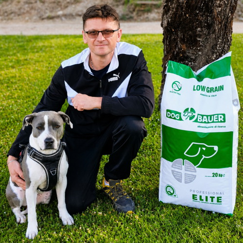 Amstaff