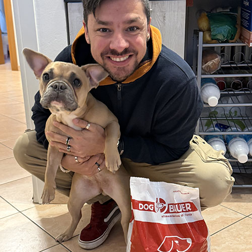 Bulldog francese