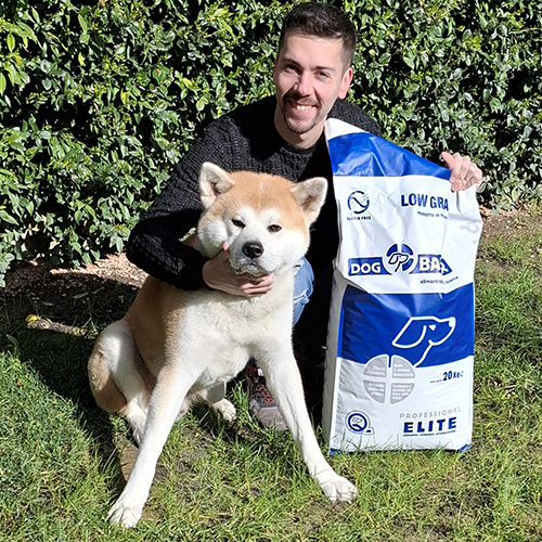 Akita Inu
