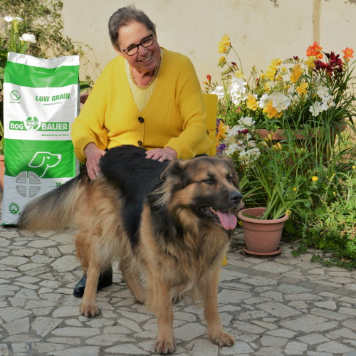 Cane Pastore