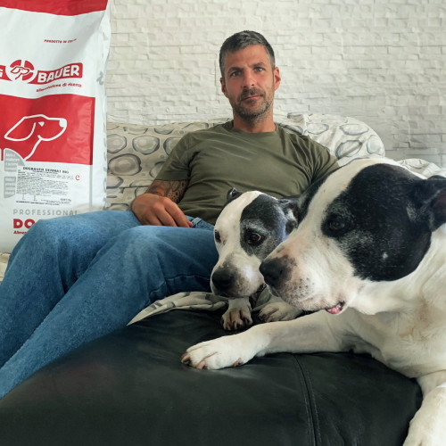 Amstaff