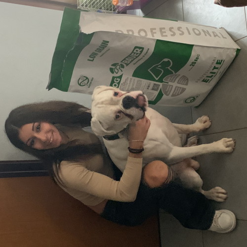 Boxer Bianco