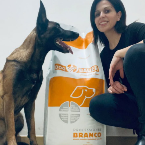 Pastore Belga Malinois