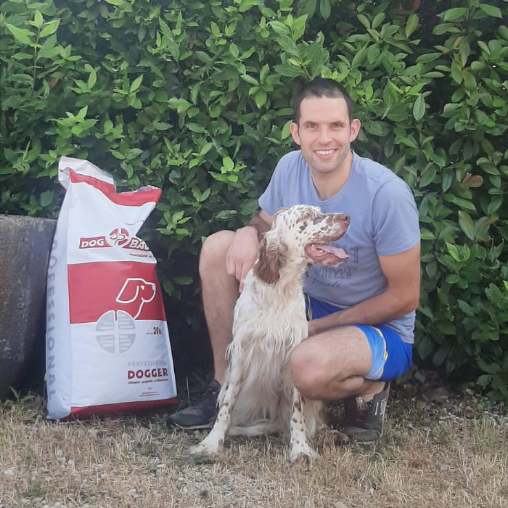 Setter Inglese