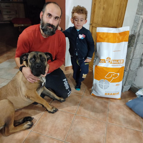 Cane Corso Cucciolone