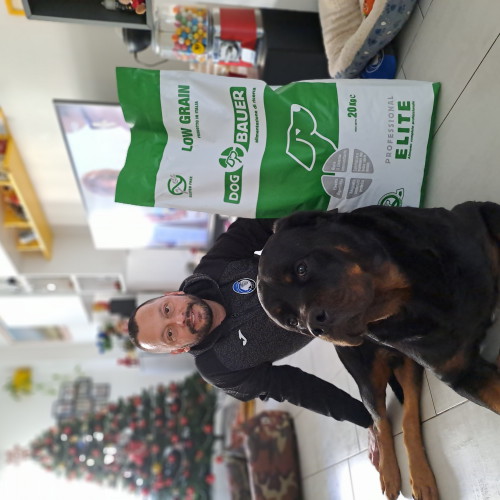 Rottweiler