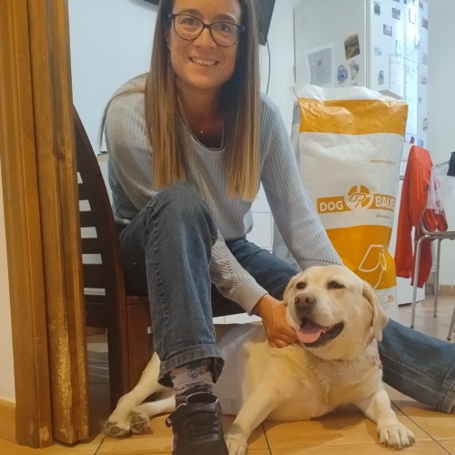 Labrador