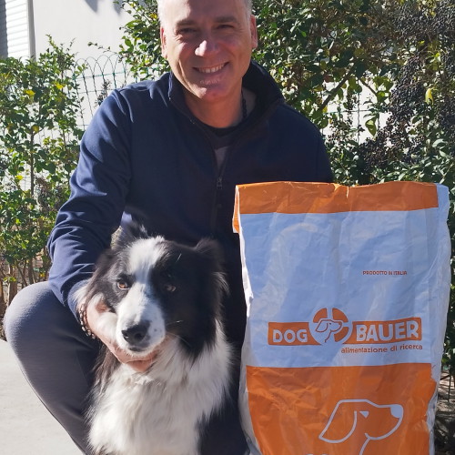 Border Collie
