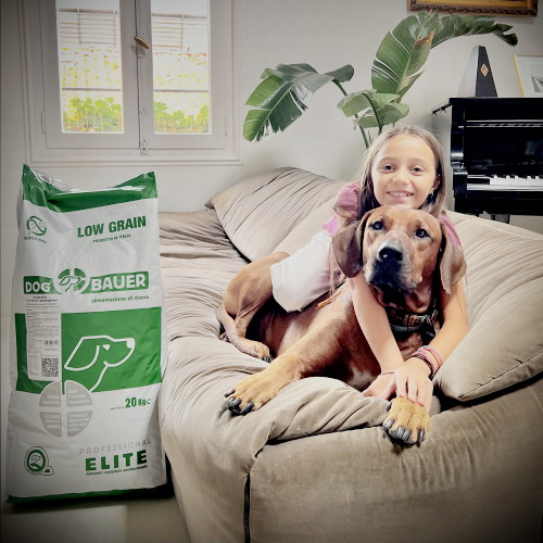 Rhodesian Ridgeback