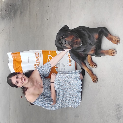 Rottweiler