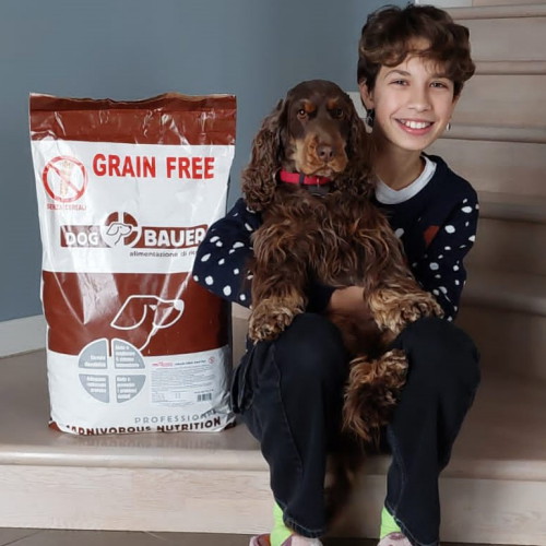 Cocker Spaniel