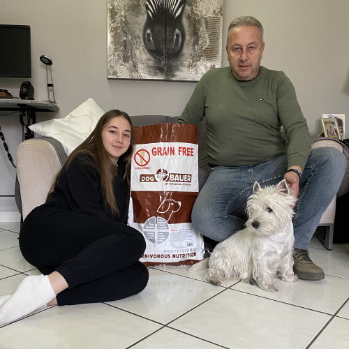 Westie (West Higland White Terrier)