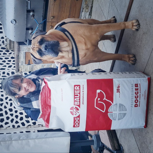 Bullmastiff